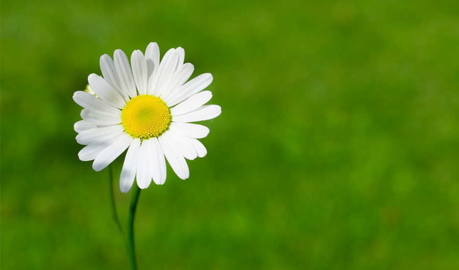 夏天運輸確保低溫產品的穩定性