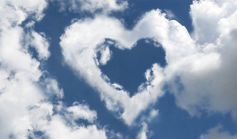 感恩母親節  所有產品8折  速速搶購